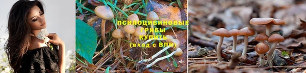 амф Каменка