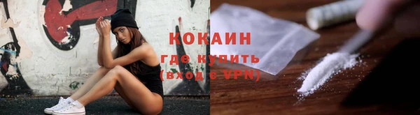 амф Каменка