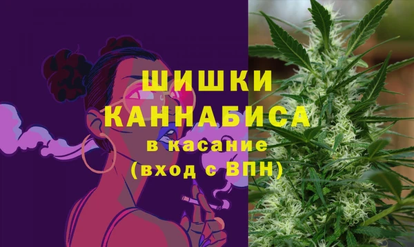 амф Каменка