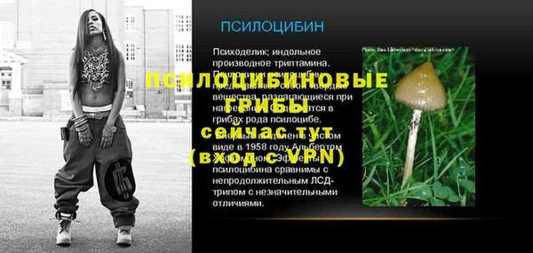 амф Каменка