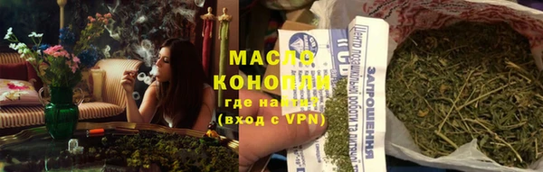 амф Каменка