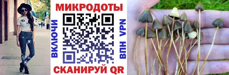 Галлюциногенные грибы Magic Shrooms  Купить  Бузулук 